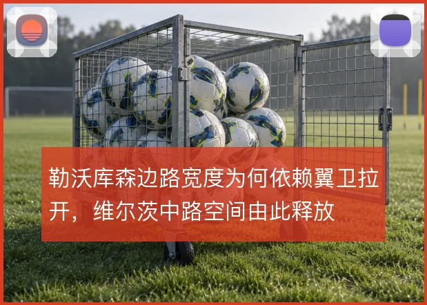 勒沃库森边路宽度为何依赖翼卫拉开,维尔茨中路空间由此释放