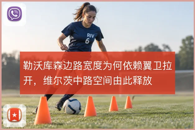 勒沃库森边路宽度为何依赖翼卫拉开,维尔茨中路空间由此释放